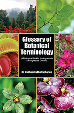 GLOSSARY OF BOTANICAL TERMINOLOGY