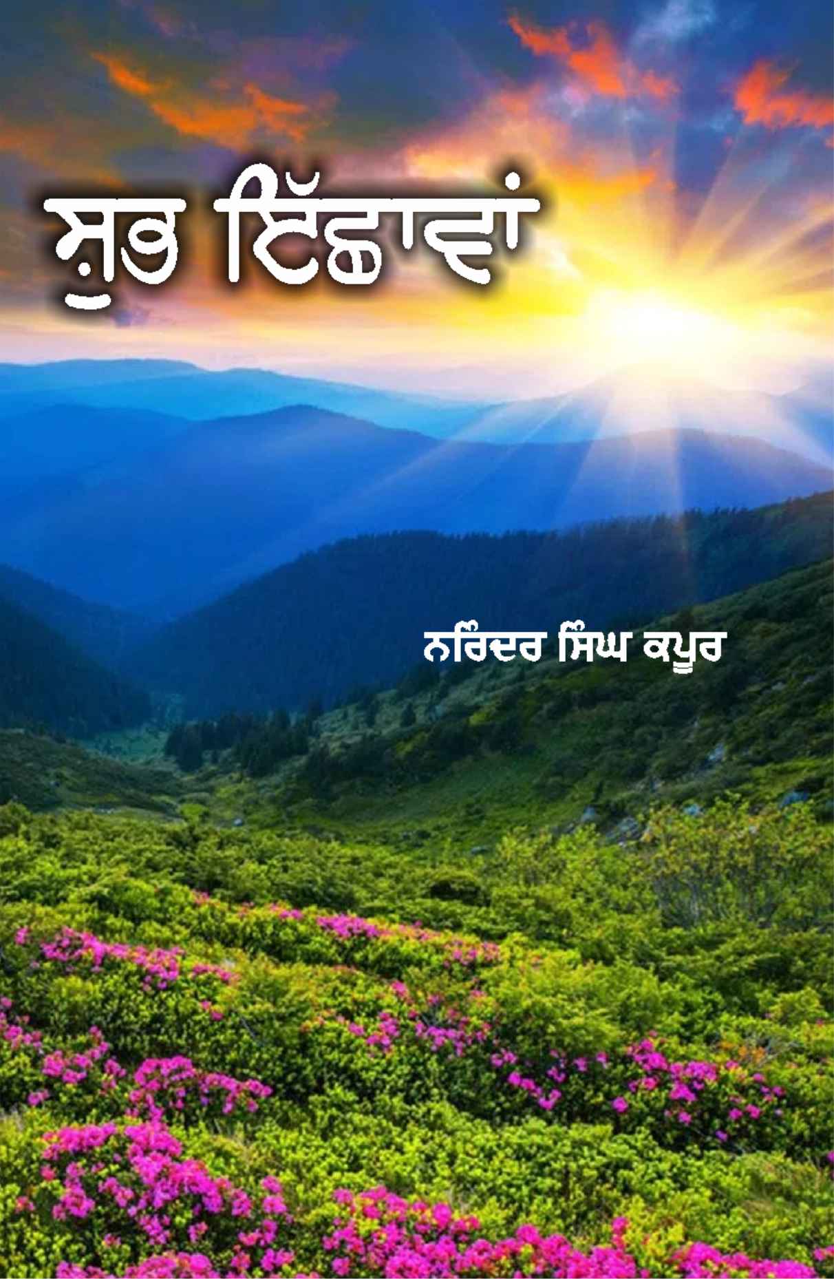 Shubh Ichhawan - Image 3