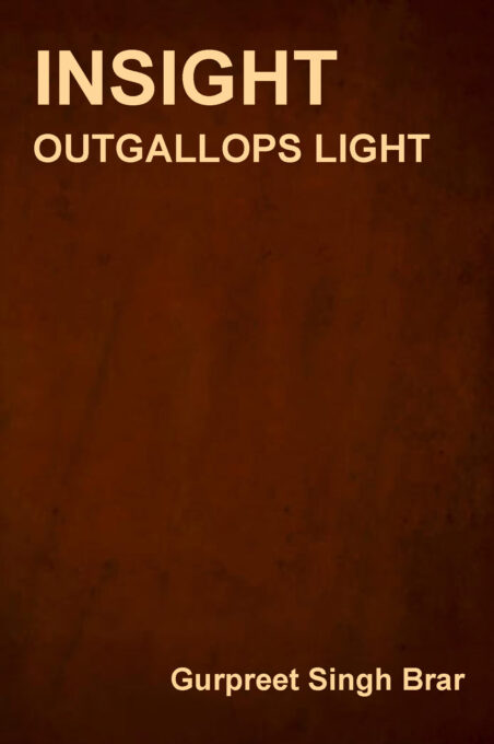 Insight Outgallops Light