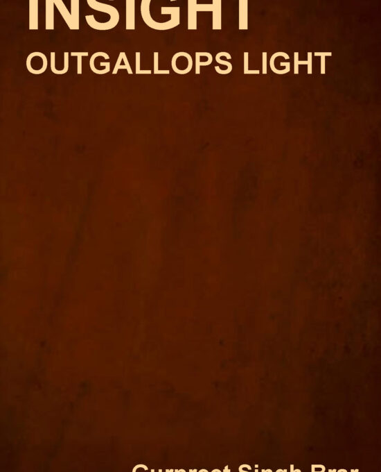 Insight Outgallops Light
